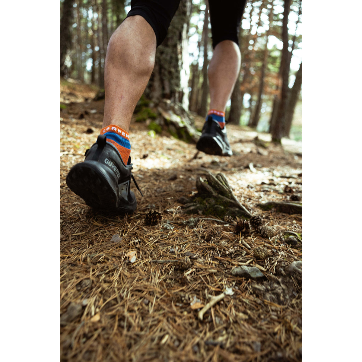 Lorpen Pro Ultra Run Sock - Shorty