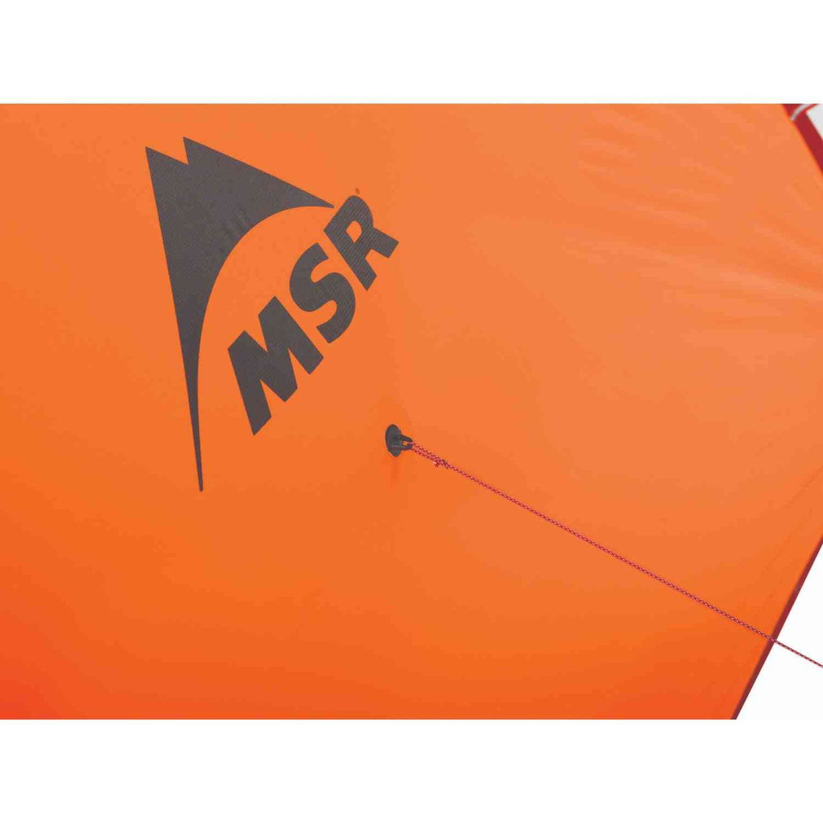 MSR Access 2 Tent