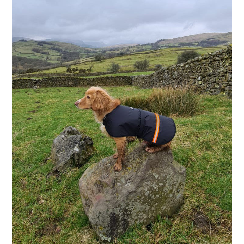 Rock+Run Dogs Fell Jacket