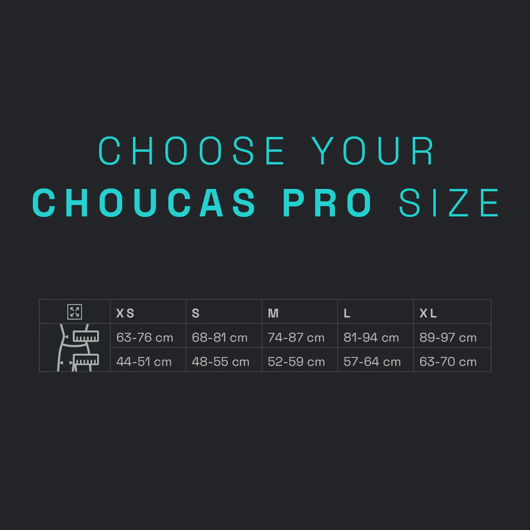 Blue Ice Choucas Pro Harness