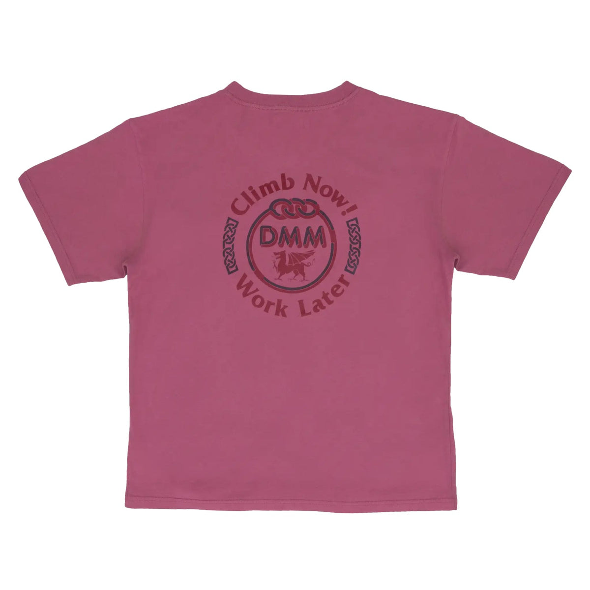 DMM Climb Anything T-Shirt - Unisex pink