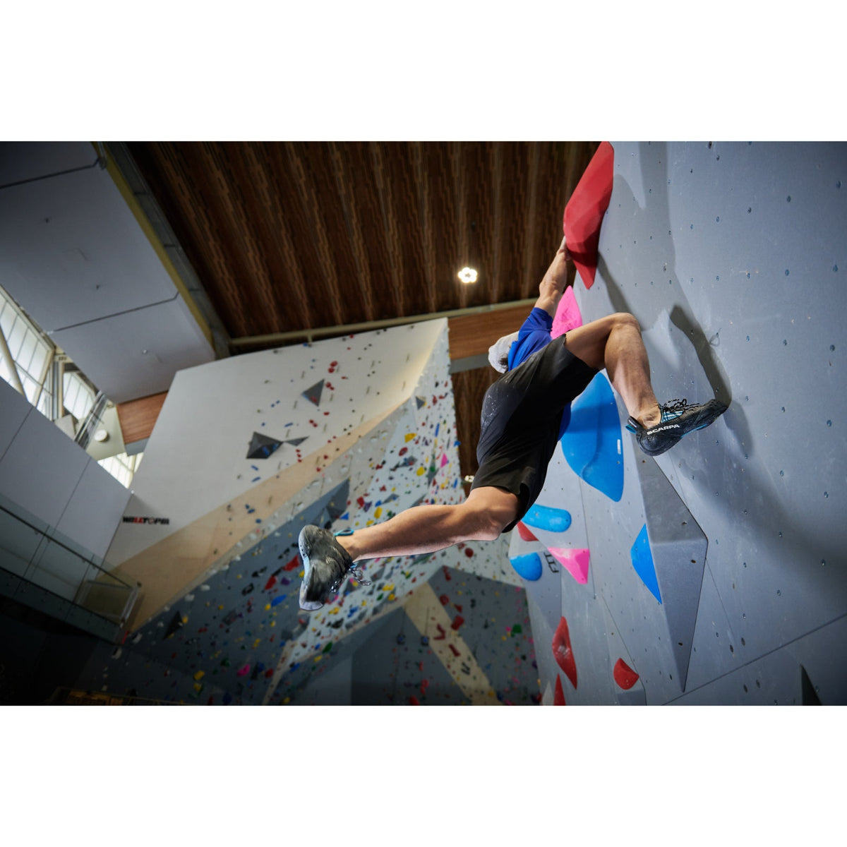 Scarpa Chimera in use at a climbing wall