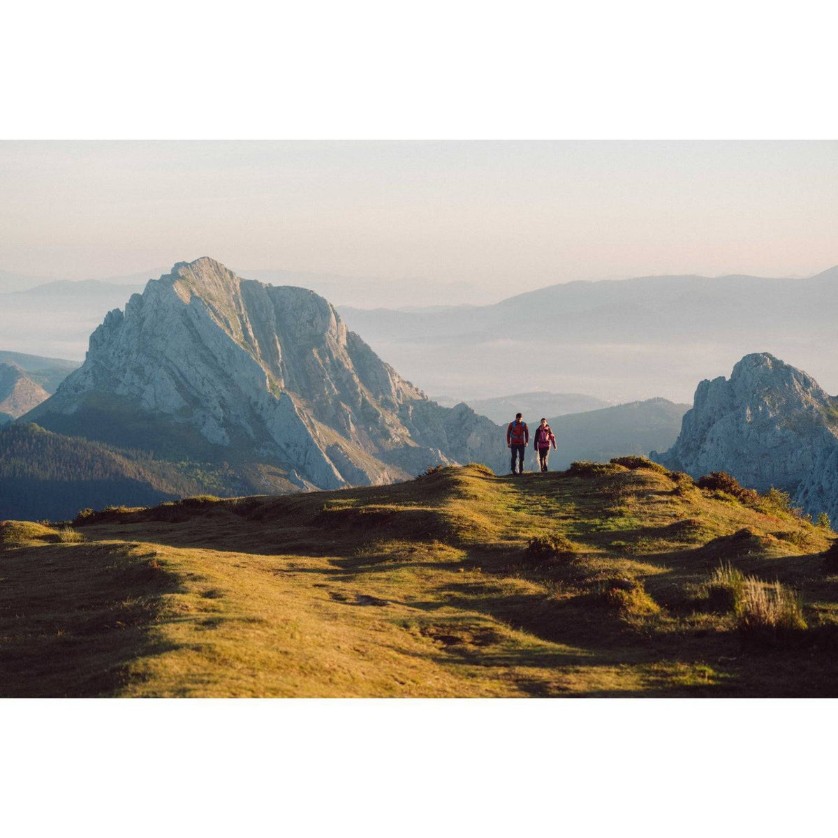 Lorpen Pro Trek Midweight Crew Sock