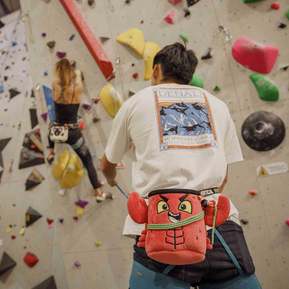 YY Lobster Chalk Bag In Use Inside
