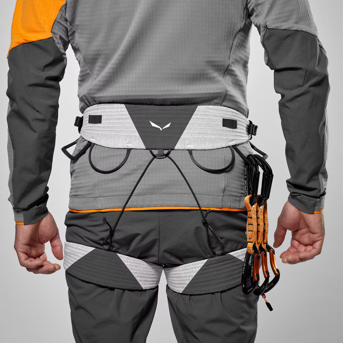 Salewa NXT Harness