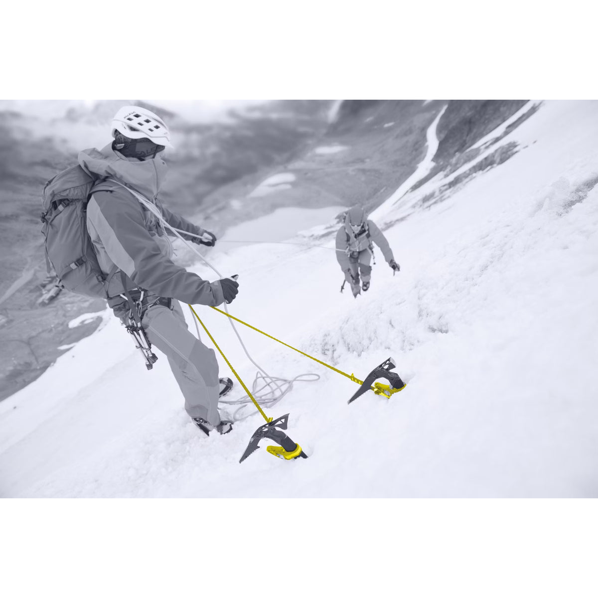 Salewa North-X Ice Axes