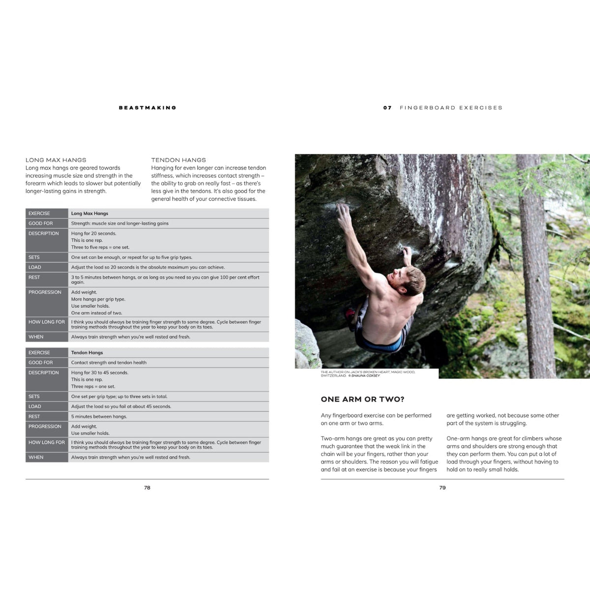 Beastmaking fingerboard exercises preview page