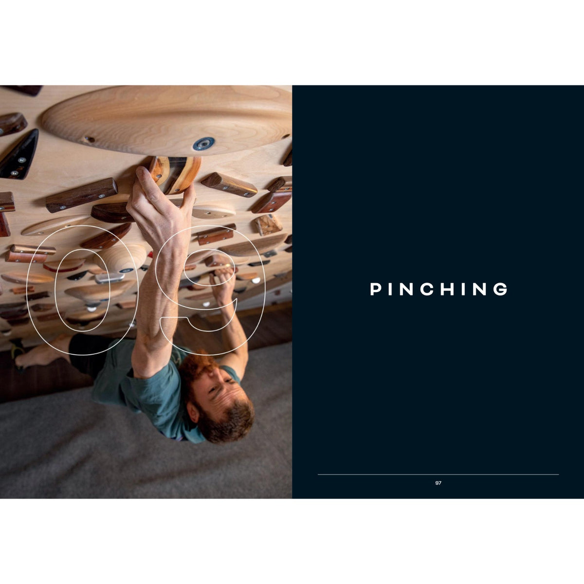 Beastmaking pinching chapter page