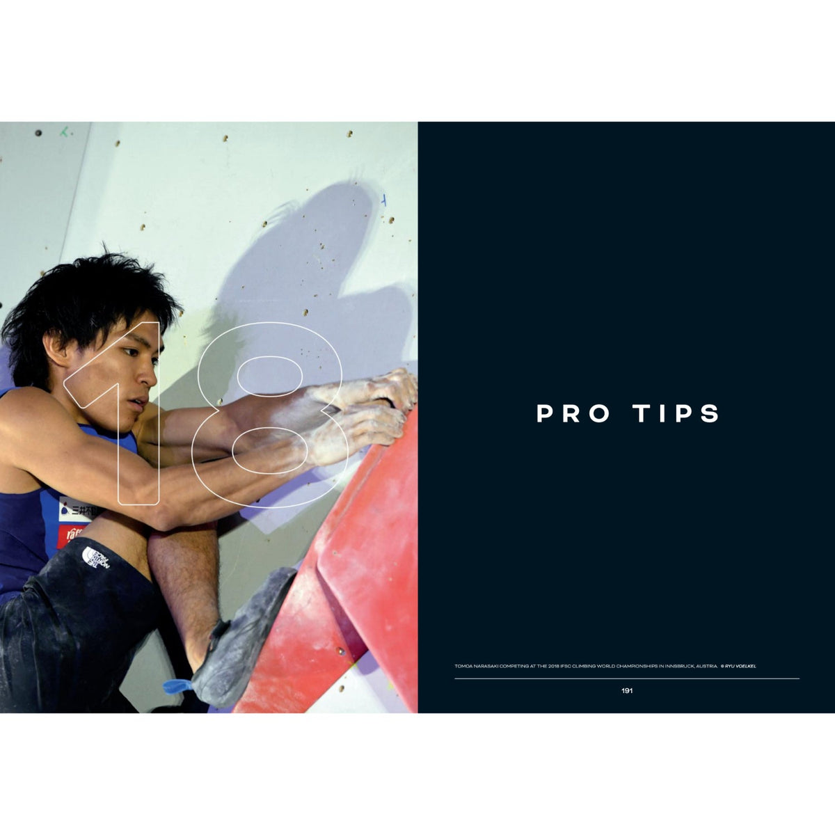 Beastmaking pro tips chapter page