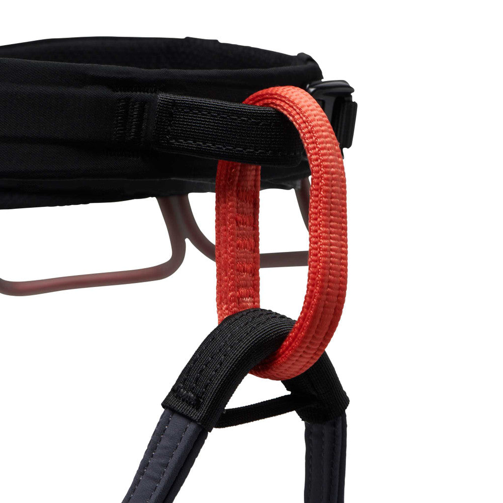 Black Diamond Solution Harness (2025)