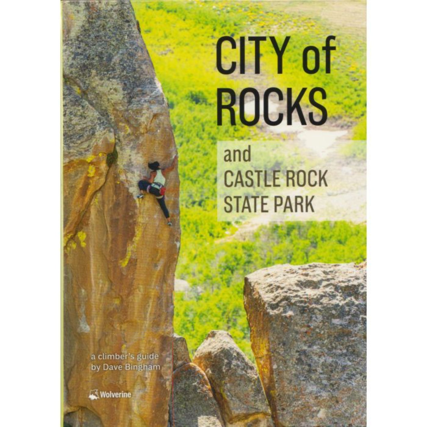 Book cover of 'City of Rocks and Castle Rock State Park' with a climber on a rock face.