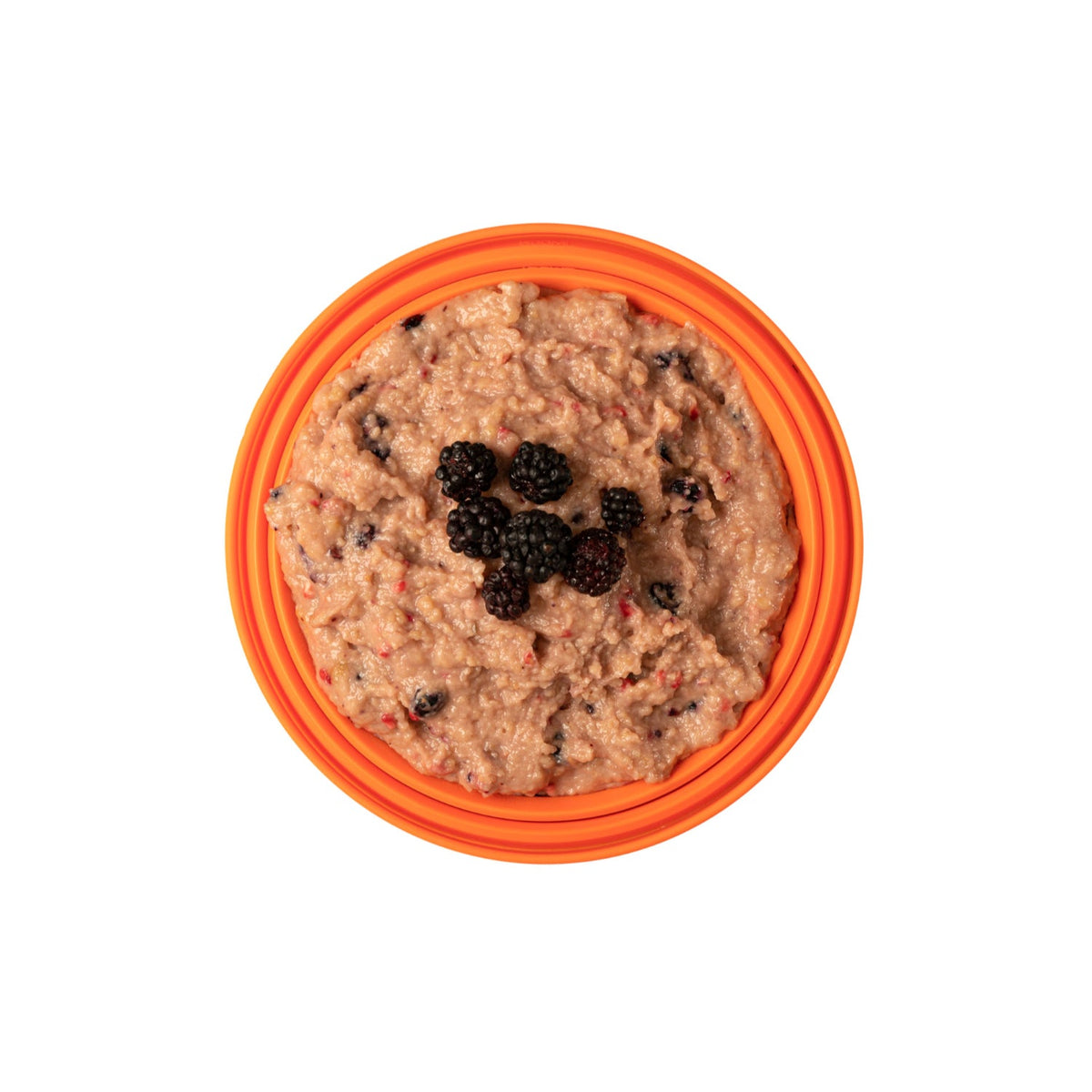 Expedition Foods Custard with Mixed Berries in packet