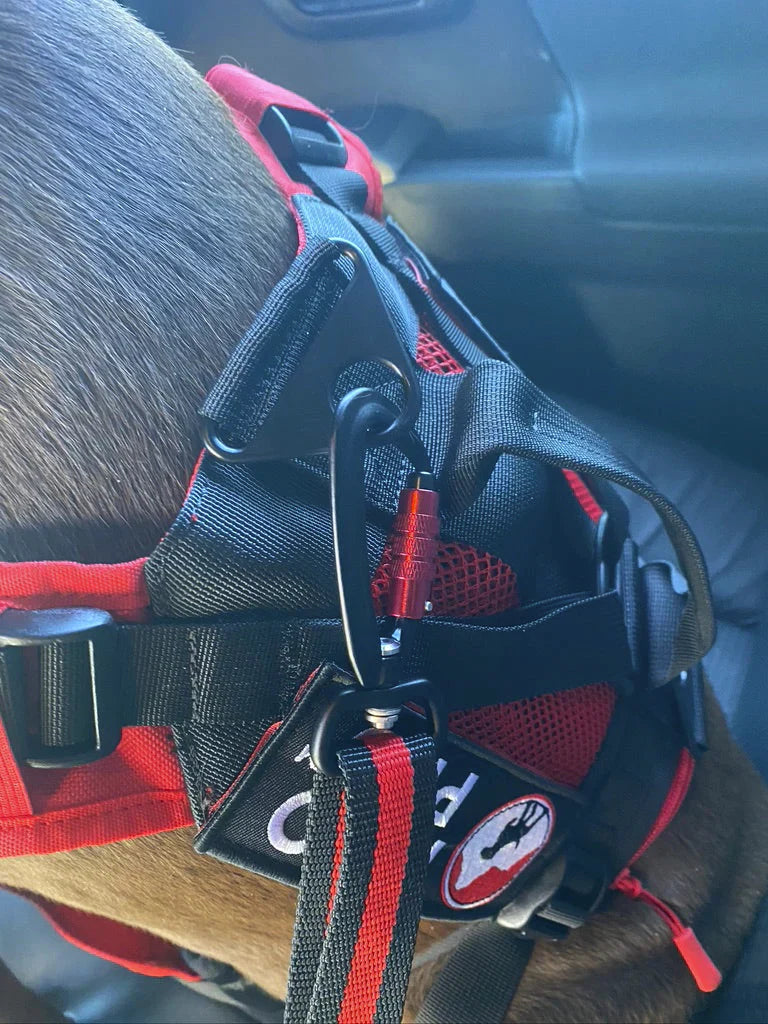 Fido Pro Dog Seat Belt - Size 1 Size - Black