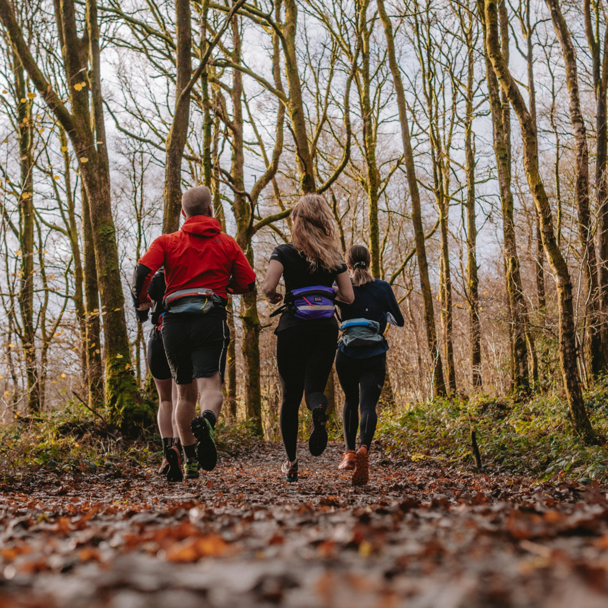 Hipsac group in the woods