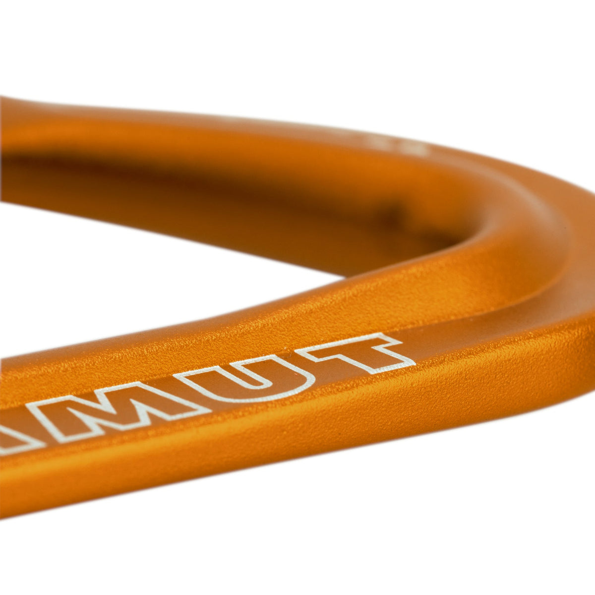 Mammut Sender Wire Carabiner, Gold, Detail