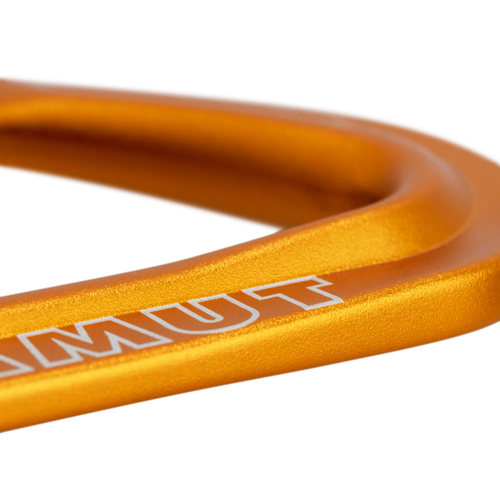 Mammut Sender Wiregate 17cm, carabiner