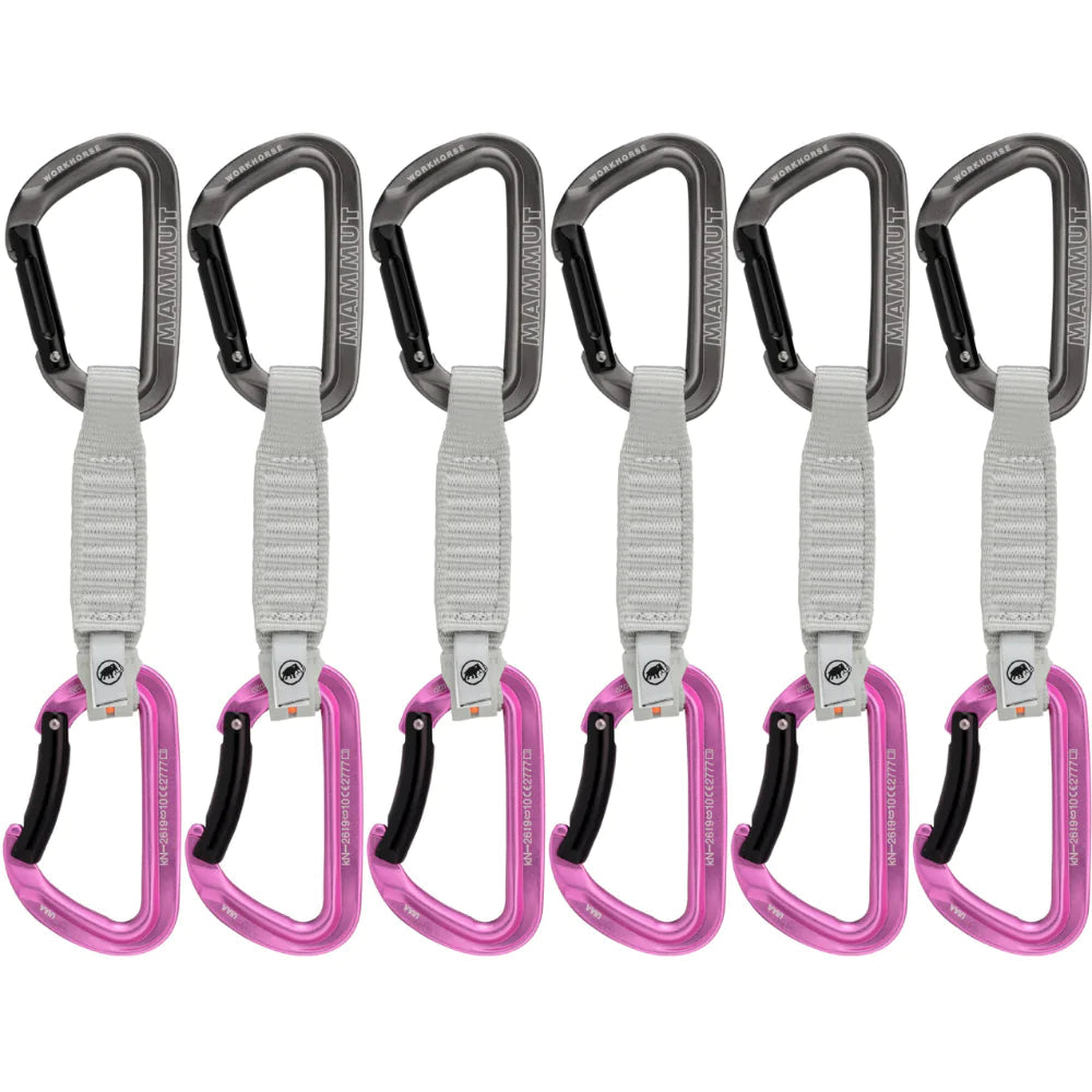 Mammut Workhorse Keylock 12cm 6-Pack, Grey/Pink