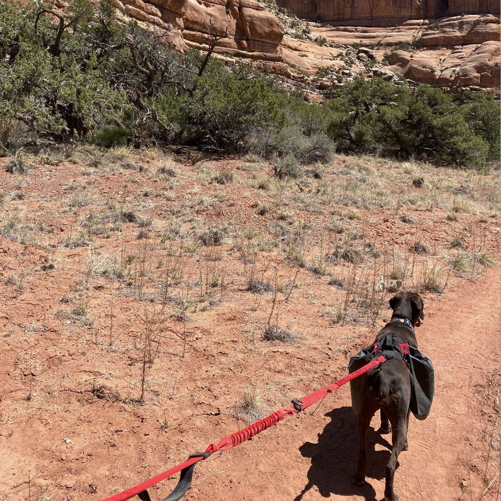 Fido Pro Remi Runner Leash - Size 1 Size - Red
