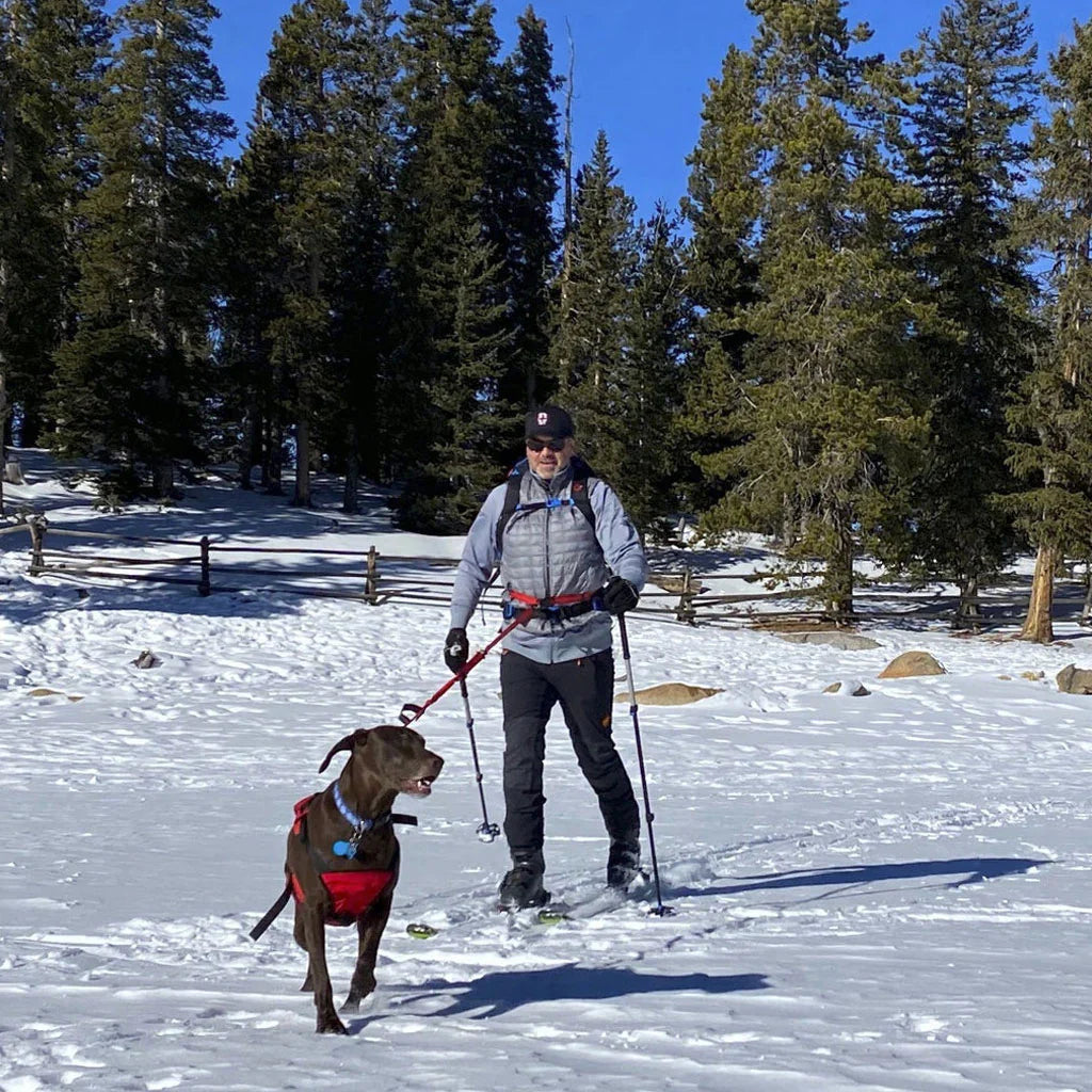 Fido Pro Remi Runner Leash - Size 1 Size - Black