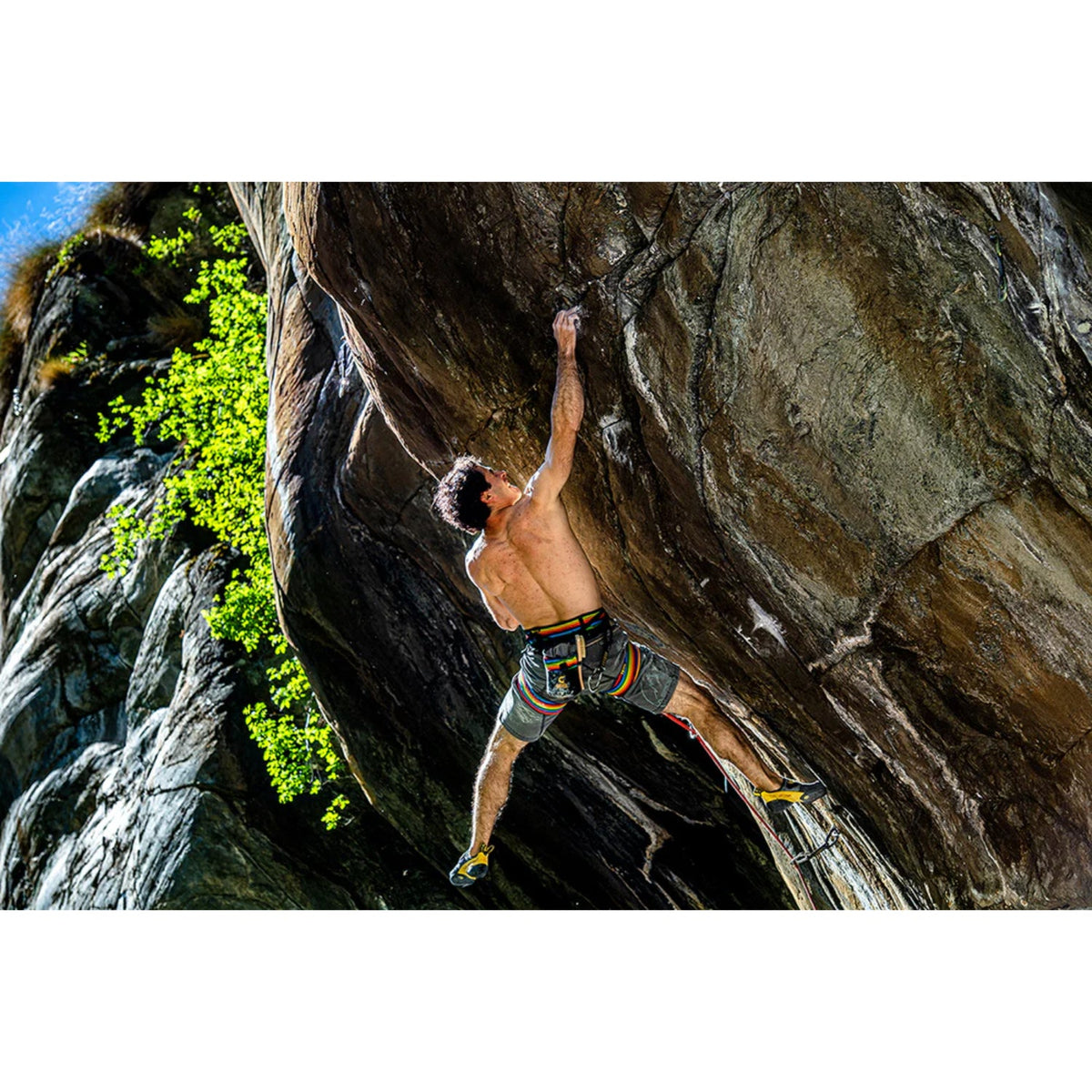 Grivel Trend Harness - Black