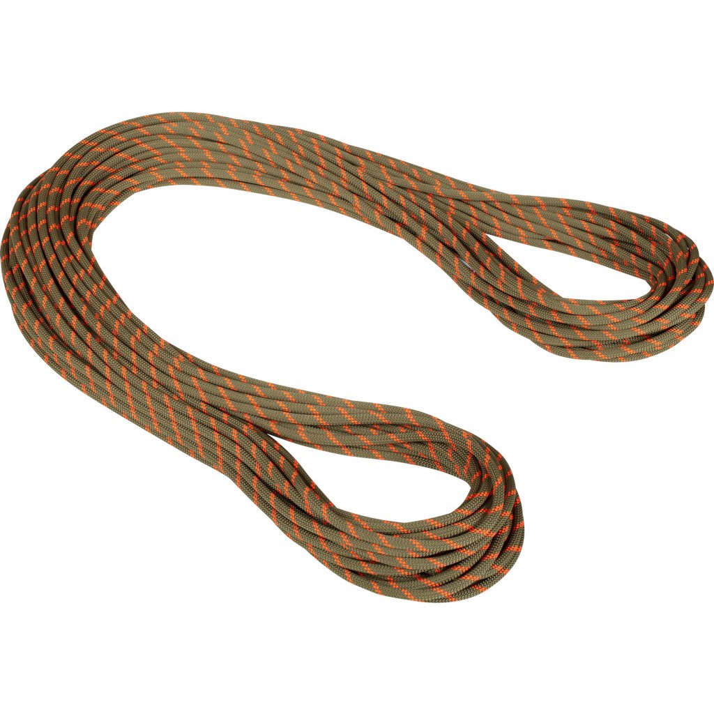 Mammut 8mm Alpine Dry Rope, Boa Safety Orange