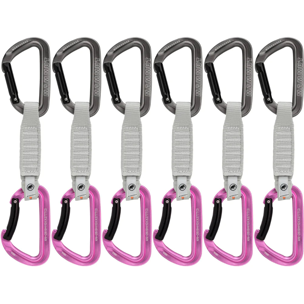 Mammut Workhorse Keylock 12cm 6-Pack, Grey/Pink