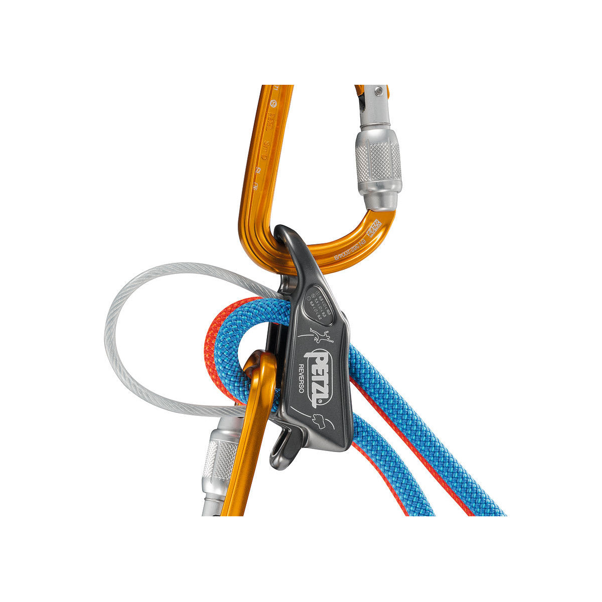 Petzl Reverso belay device shown in use in guide mode, with blue rope and orange carabiners