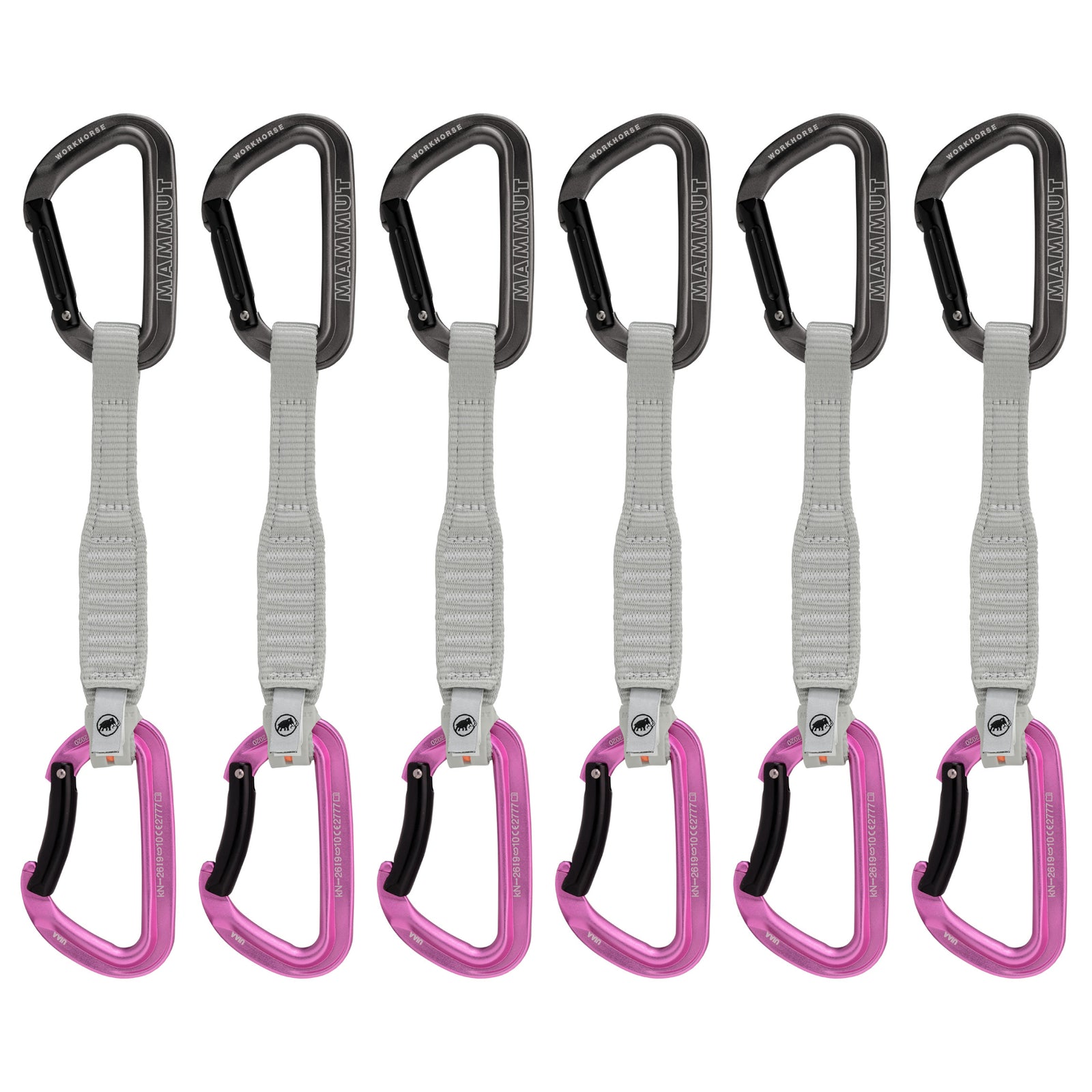 Mammut Workhorse Keylock 17cm 6-Pack pink